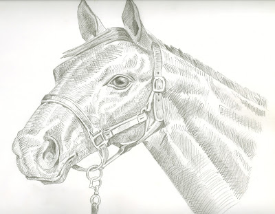 Graphite sketch - horse