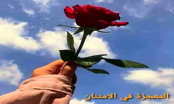 الامتنان- المعجزةفي الأمتنان - تأثير الأمتنان في حياتنا -the miracle of gratitude-the effect of gratitude our lives