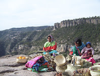 Этнический состав Мексики: тараумара