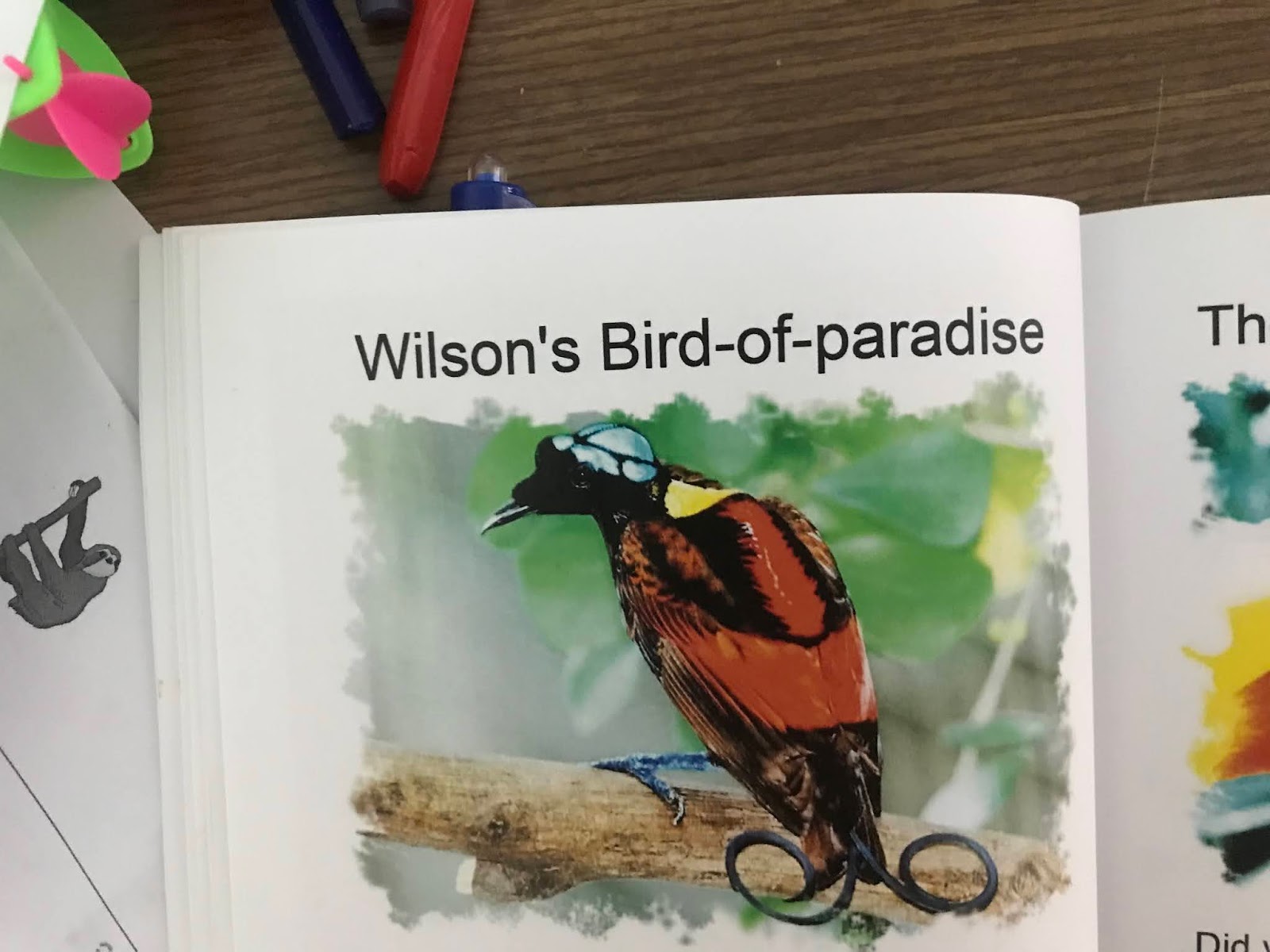... book version
