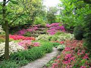 Vi piacerebbe imparare come trasformare un semplice giardino in un vero e .