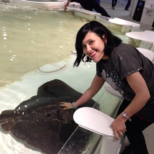 aquarium Kaiyukan à Osaka Japon