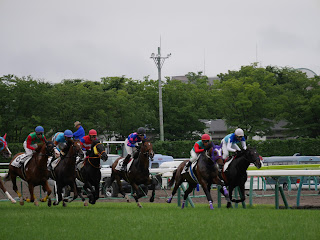 福島競馬場　芝