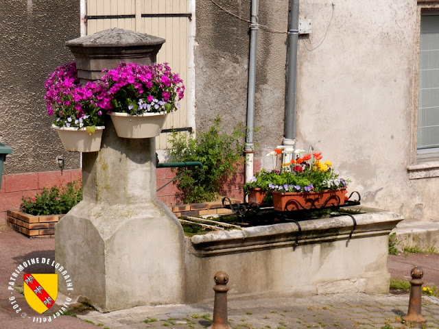 VANDOEUVRE-LES-NANCY (54) - A la découverte du village