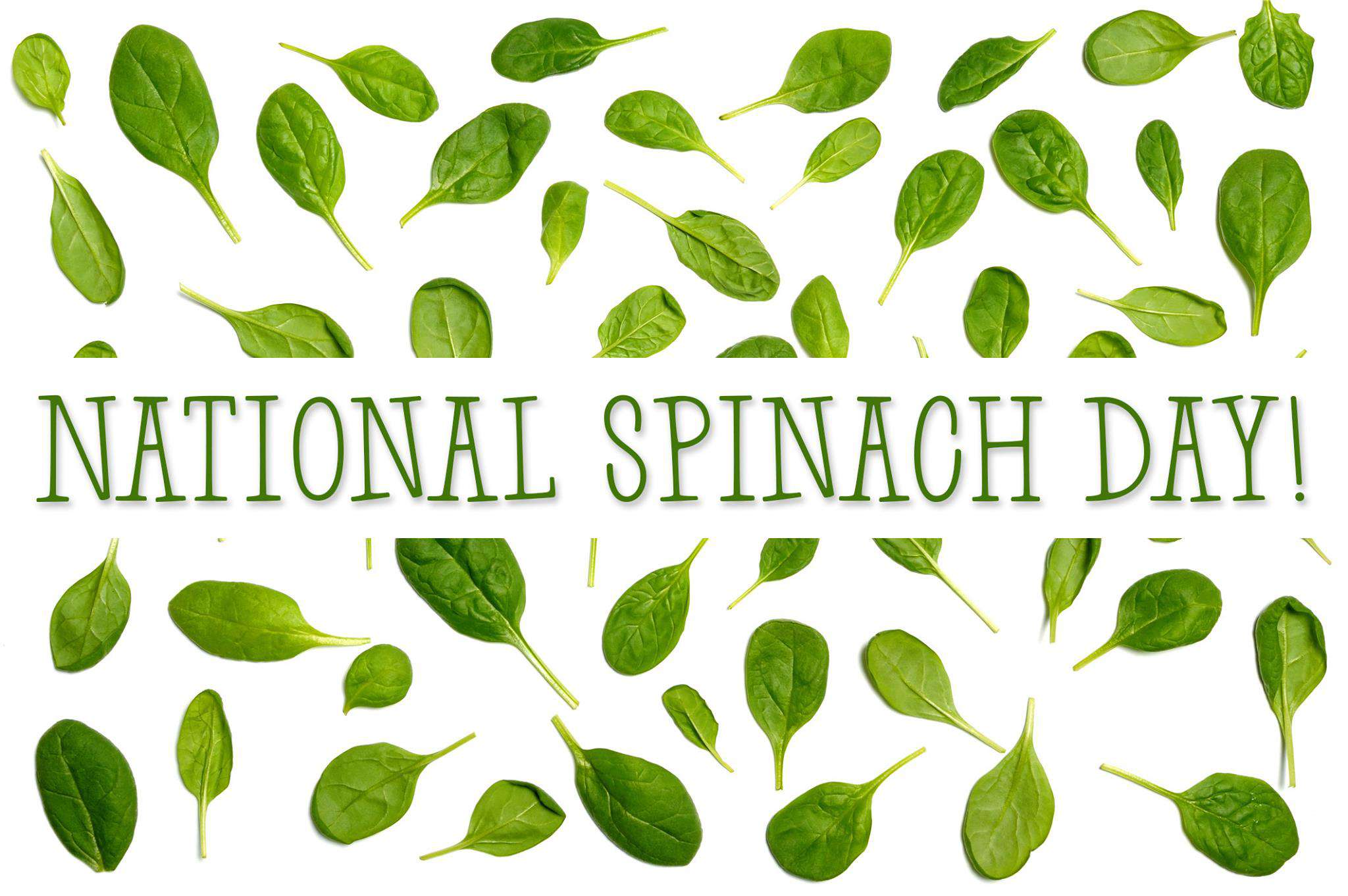 National Spinach Day Wishes Beautiful Image