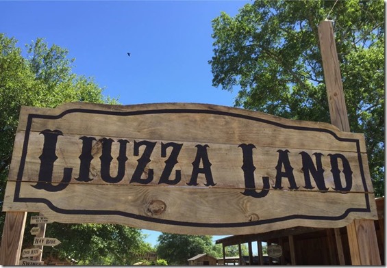 liuzza