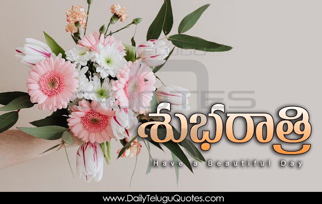 Beautiful Telugu Good Night Greetings Pictures Best Wishes Good Night Wishes Telugu Quotes Free Download Online