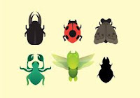 OS INSECTOS