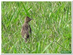 20120304_114026_047_AntlerBrook