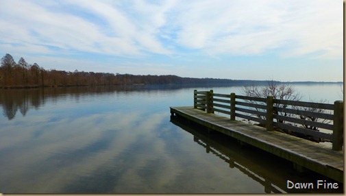 Pocosin Lakes, Lake Phelps_100