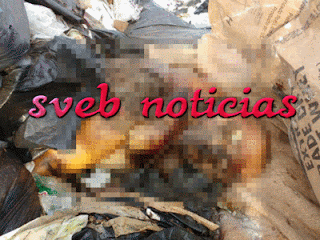 Hallan restos del cuerpo de una mujer en un basurero en Veracruz