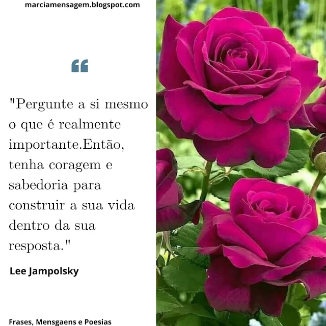 "Pergunte a si mesmo o que é realmente importante.Então, tenha Coragem e Sabedoria para construir a sua vida dentro da sua resposta."  Lee Jampolsky