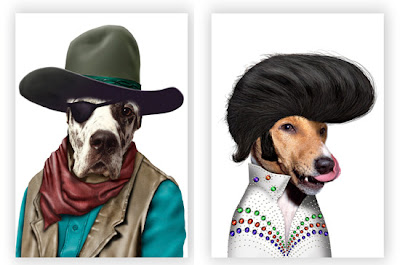 Pet as Famous People Seen On www.coolpicturegallery.net