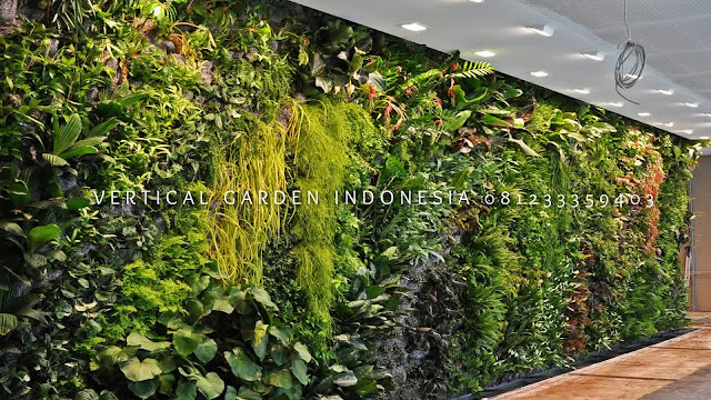 VERTICAL GARDEN INDONESIA SPESIALIS JASA PEMBUATAN VERTICAL GARDEN DI PEMALANG JAWA TENGAH DAN DI SELURUH WILAYAH JAWA TENGAH DENGAN TENAGA YANG PROFESIONAL DAN DAPAT DI PERCAYA YANG SELALU MENGUTAMAKAN SEBUAH MUTU DAN KUALITAS PEMASANGAN VERTICAL GARDEN/TAMAN DINDING, JASA TUKANG TAMAN VERTICAL PEMALANG JAWA TENGAH, JASA VERTICAL GARDEN PEMALANG JAWA TENGAH