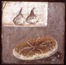 pompeya-canal18