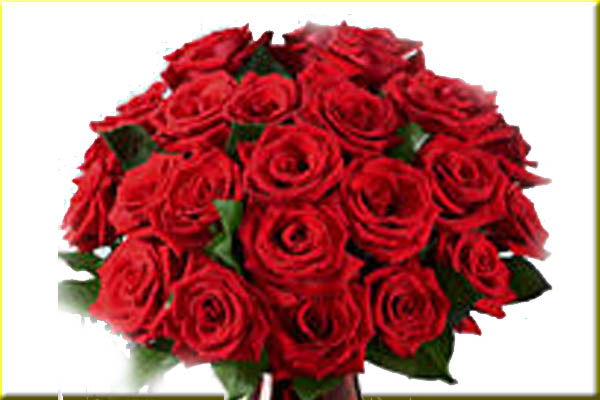 Download image Arti Warna Pada Bunga Mawar Merah PC, Android, iPhone 