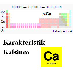 Karakteristik Kalsium, Kalsium Peninggi Badan