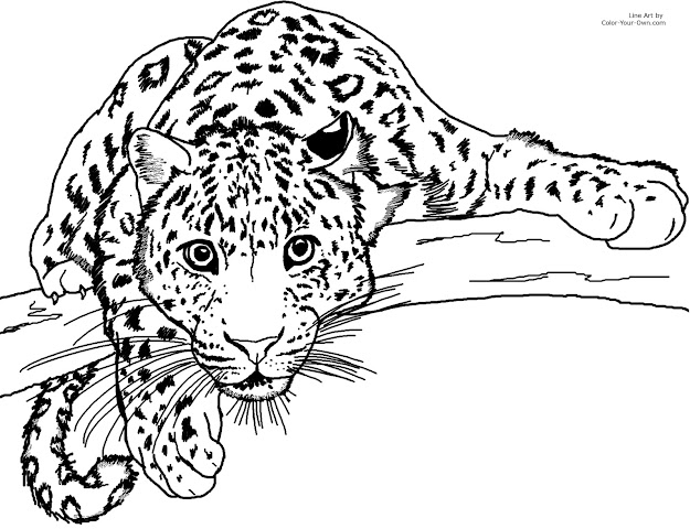 Free Adult Coloring Pages