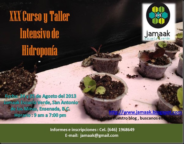 Invitacion XXX
