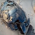 CRIME AMBIENTAL | Camada de óleo cobre praia em Alcântara