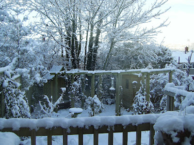 Another snow view of my back garden in Wales - December 2010.