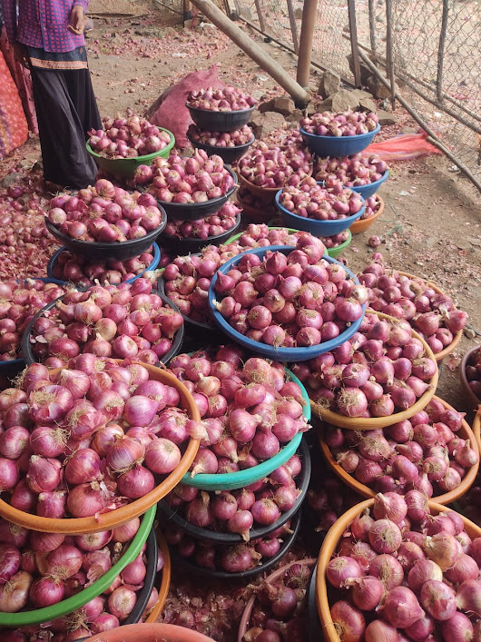 Importing Onions from India
