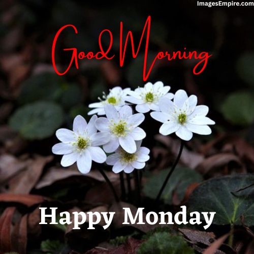 Happy Monday Good Morning Blessings Images