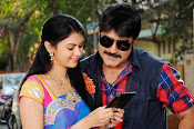 Veediki Dookudekkuva Movie Photos-thumbnail-20