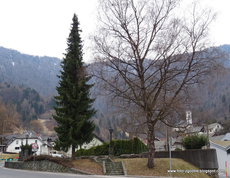 Slovenija, Gorenjska