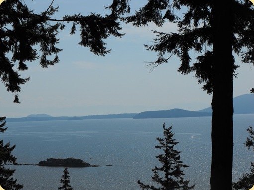 Bellingham & Fairhaven, WA 263