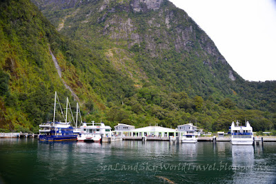 Milford Sound 米佛峽灣