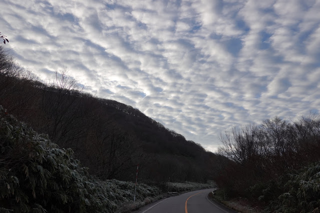 鳥取県日野郡江府町御机 岡山県道114号大山上福田線（蒜山大山スカイライン）