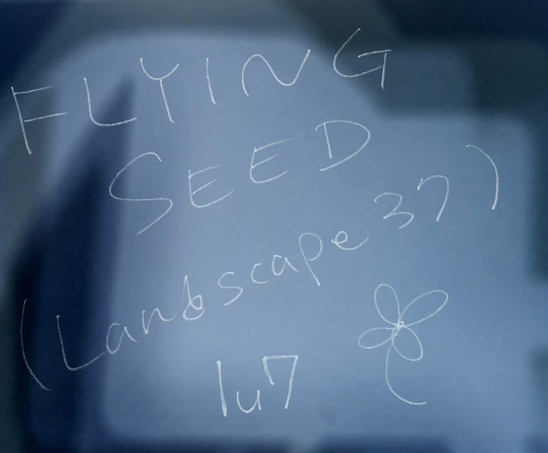 FlyingSeed(Landscape37)動画up！！