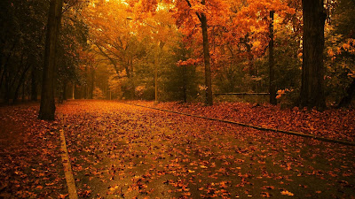 Fall wallpaper hd