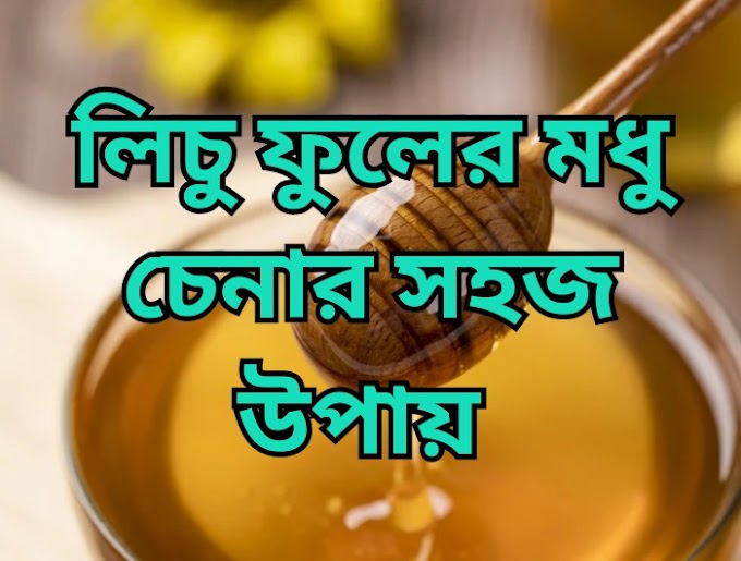 লিচু ফুলের মধু চেনার উপায়