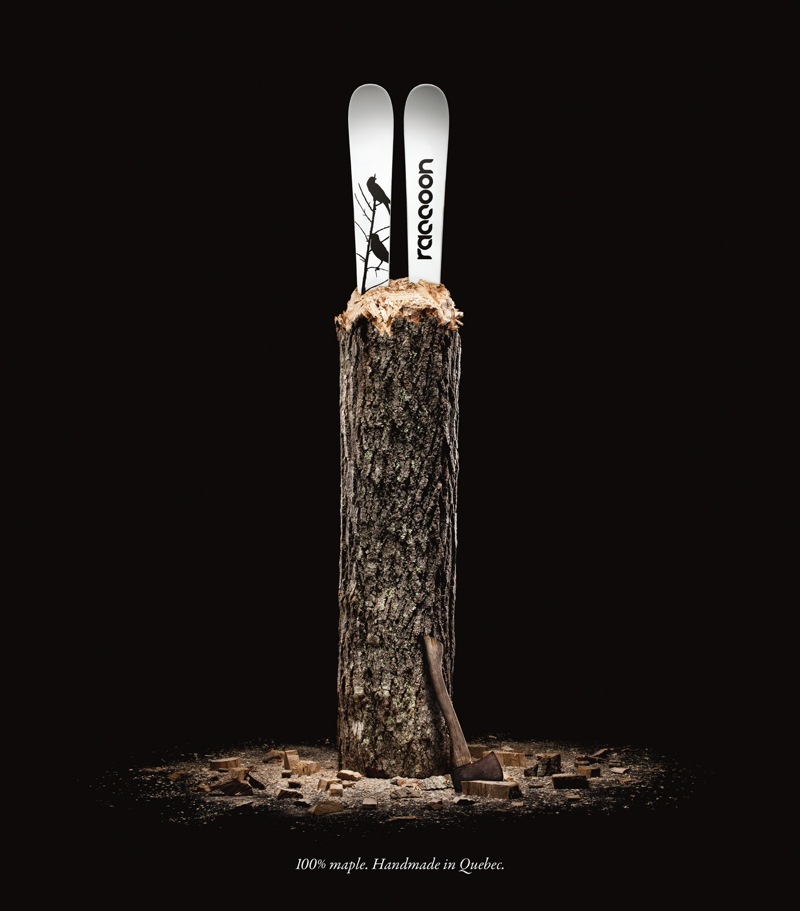 Raccoon skis aotw