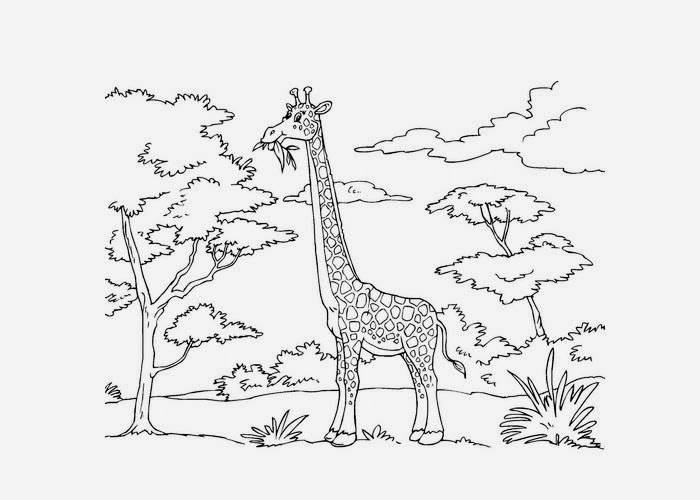 Free Coloring Pages and Coloring Books for Kids title=