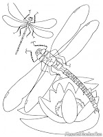 Gambar Capung Terbang Diatas Bunga Untuk Diwarnai