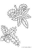 otono  (11)