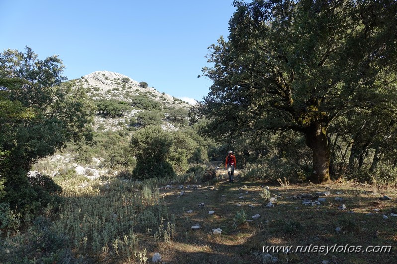 Cerros del Espino - Cancho del Toro