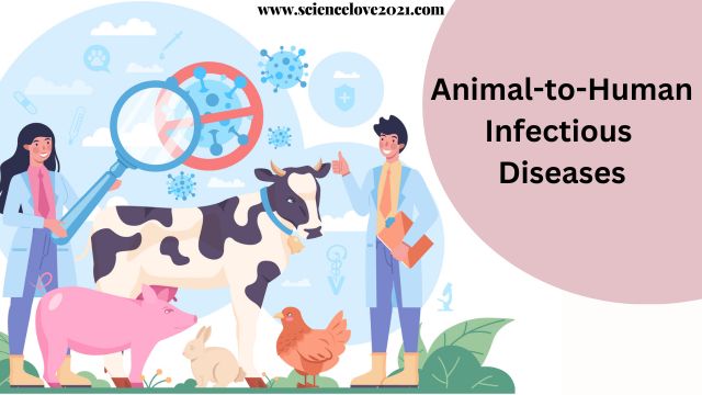 Animal-to-Human Infectious Diseases: list of Animal-to-Human Infectious Diseases