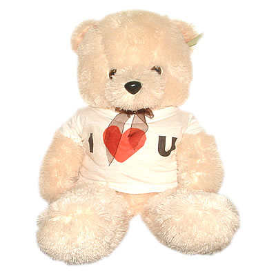 Personalized Teddy Bear