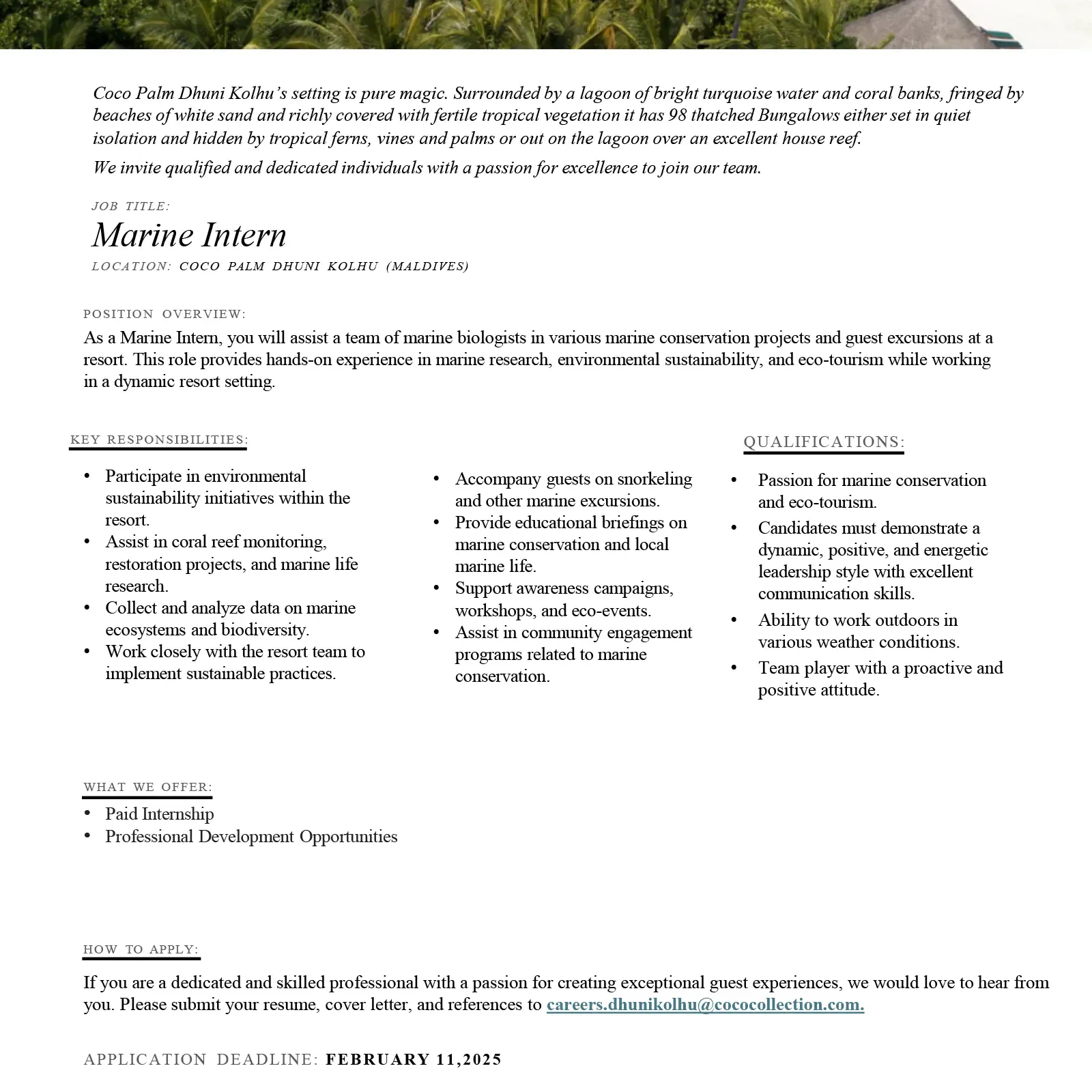 image of Marine Internship Opportunity at Coco Palm Dhuni Kolhu job advert