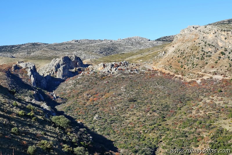 Cornicabral del Valle de Lifa