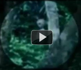 Foto Gambar Penampakan Alien UFO Hutan Amazon Oktober 2011