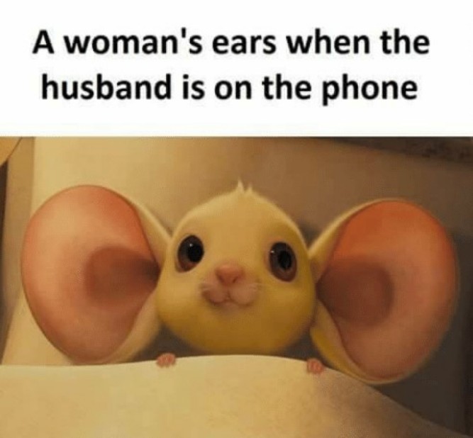 A woman's ears when the husband is on the phone! - Funny memes pictures, photos, images, pics, captions, jokes, quotes, wishes, quotes, sms, status, messages, wallpapers.