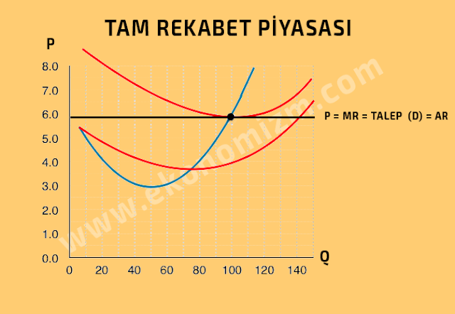 tam rekabet piyasası