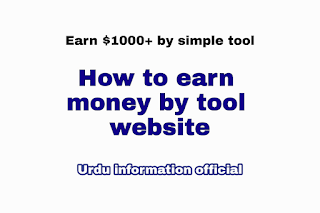 How to earn money by tool website in Hindi