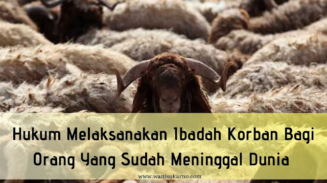 Hukum Melaksanakan Ibadah Korban Bagi Orang Yang Sudah 