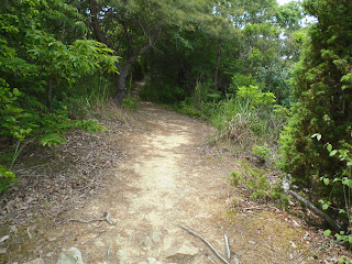 八丈岩山の中腹からの景色　その8